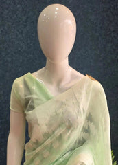 Banarasi Munga Cotton - Light Green