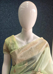 Banarasi Kora Organza Light Pista Green