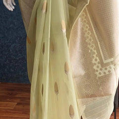 Kora Organza Light Pista Green Banarasi Saree