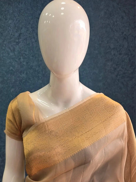 Pure Banarasi Tissue Saree