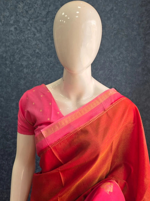 Soft  Tissue Saree